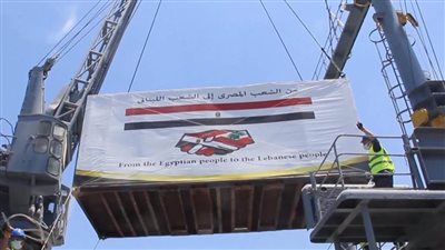 برلمانيون: مصر قوة داعمة لاستقرار المنطقة في الأزمات