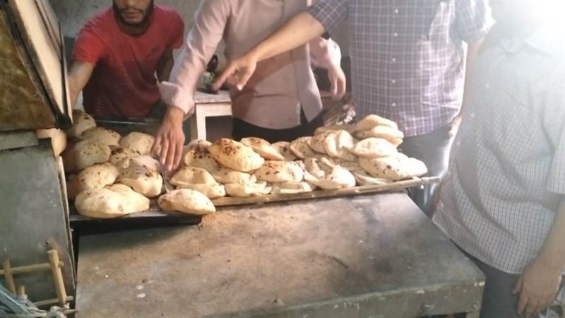 جانب من الحملات