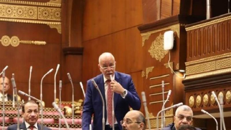 النائب المهندس حازم