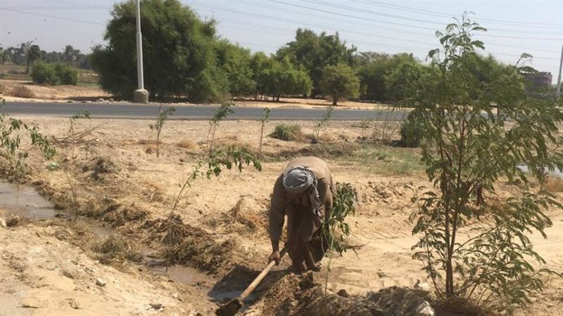 أعمال التشجير بمركز
