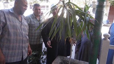 إطلاق مبادرة الرئيس لزرع الأشجار بالإسكندرية من مساجد الدخيلة والعجمي 