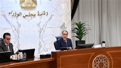 الحكومة توافق على انضمام  مصر لبروتوكول الميثاق الأفريقي لحقوق الإنسان والشعوب