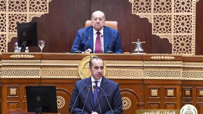 المستشار محمود فوزي: مجلس الشيوخ نجح في تطوير أدواته وإطلاق نظام الدراسات البرلمانية