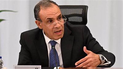 وزير الخارجية: مصر ركيزة الاستقرار في المنطقة