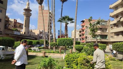 بالصور.. حملات مكبرة لزراعة الأشجار بالمراكز فى الغربية