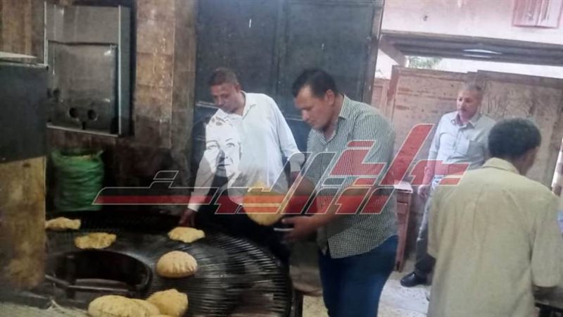 الحملات الرقابية