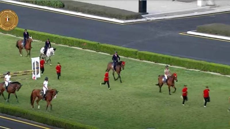 عروض الفروسية