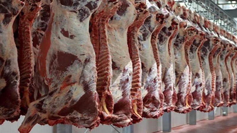 اللحوم البلدي