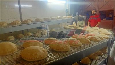 تحرير 6 محاضر مخالفات تموينية بكفرالشيخ 