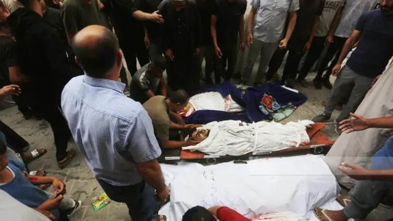 بوابة روز اليوسف