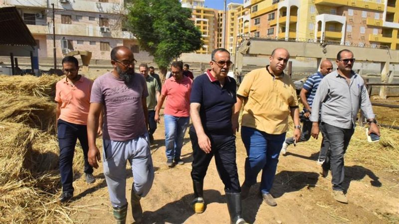 محافظ أسيوط يتفقد