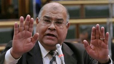 «الشهابي»: «اطمئن أنك تمتلك سيفاً ودرعاً» من أهم رسائل الرئيس السيسي للشعب