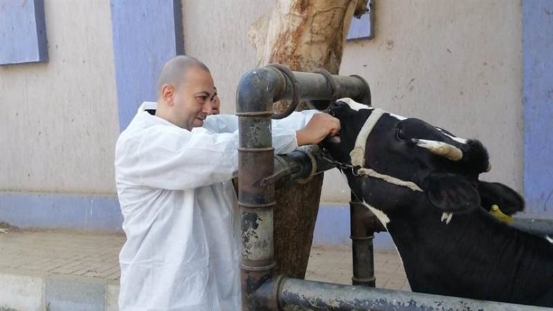 قوافل بيطرية