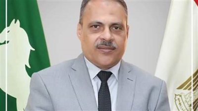 محافظ الشرقية يتابع الحالة الصحية لمصابي حادثي التصادم باتجاهي بنها وبلبيس 