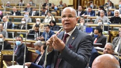 برلماني: الحرب الإسرائيلية على غزة تسببت في اتساع رقعة الصراع وتنذر بحرب إقليمية