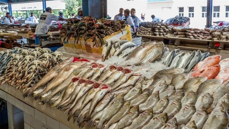 أسعار الأسماك والمأكولات