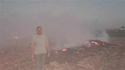 تكثيف الجهود لمواجهة الحرق المكشوف للمخلفات الزراعية بقرى مركز أسيوط