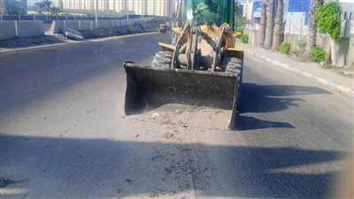 حملات نظافة وتجريف ورفع الاتربة بطريق القباري السريع غرب الإسكندرية 