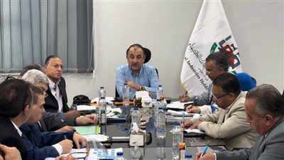 وزير قطاع الأعمال العام يستعرض مؤشرات أداء القابضة الكيماوية وشركاتها التابعة