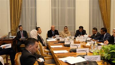 إطلاق الموقع الإلكتروني الجديد للجنة العربية للإعلام الإلكتروني نهاية ٢٠٢٤