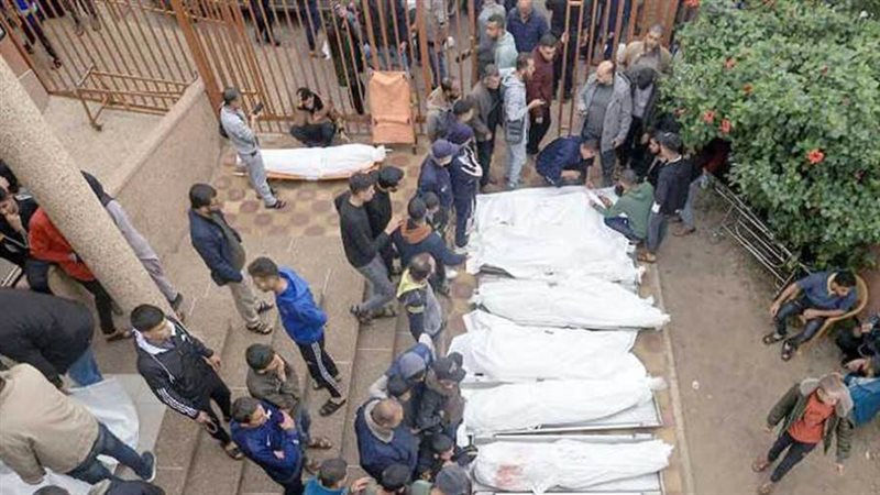 بوابة روز اليوسف