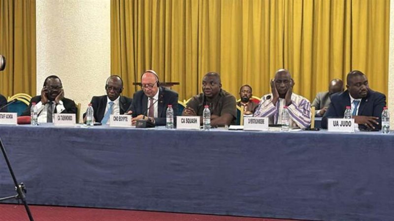 المهندس شريف العريان