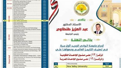جامعة الوادي الجديد تحقق إنجازًا تاريخيًا في تصنيف التايمز العالمي 