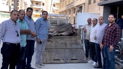 تحرير أكثر من ألف و100 مخالفة تموينية خلال 15 يوما بالفيوم 