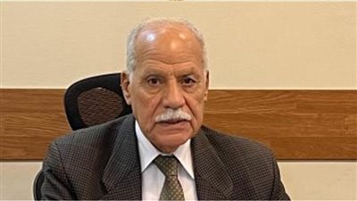 العربي الناصري: كلمة الرئيس السيسي 