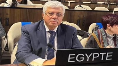 وزير التعليم العالي أمام اليونسكو: الشعب الفلسطيني يعاني بصورة غير مسبوقة نتيجة استمرار العدوان