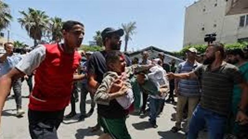 بوابة روز اليوسف