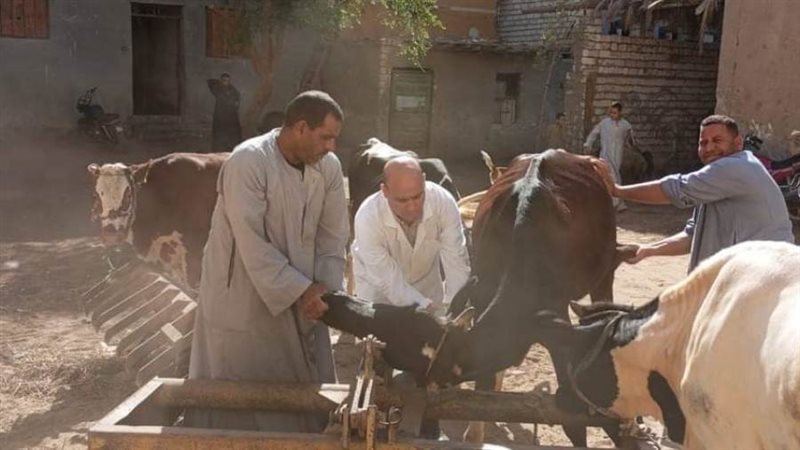 خدمات بيطرية