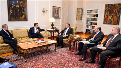 وزير الخارجية يشدد على ضرورة الوقف الفوري لإطلاق النار في غزة