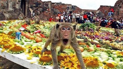 رمي الأطفال ووليمة القرود.. أغرب الاحتفالات حول العالم