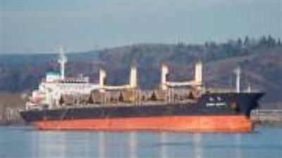 تصدير 35 ألف طن فوسفات ووصول 5580 رأس عجول حية بوزن 1950 طنا بميناء سفاجا