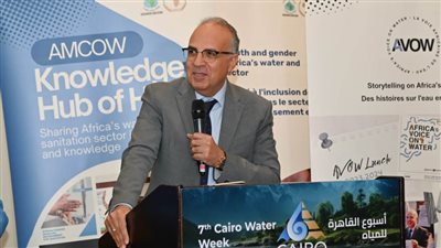 وزير الري: مصر وضعت المياه في قلب العمل المناخي منذ COP27 