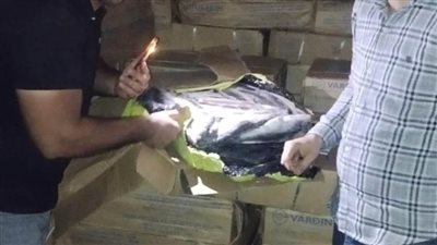 بالصور.. ضبط 20 طن أسماك مجمدة منتهية الصلاحية ونصف طن لحوم فاسدة بالغربية