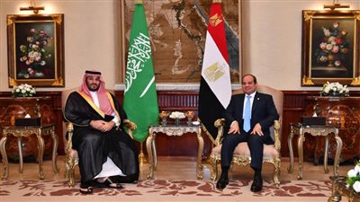 الأعلى للاقتصاد العربي الأفريقي: زيارة ولي العهد السعودي ستُزيد حجم التبادل التجاري