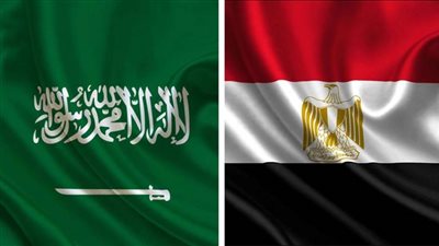 بيان مشترك يشيد بنتائج زيارة ولي العهد السعودي إلى مصر