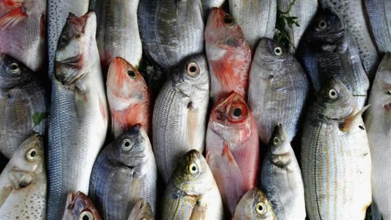 ارشفية-أسماك