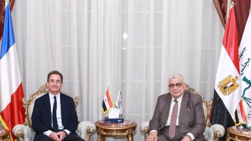 مجلس الدولة