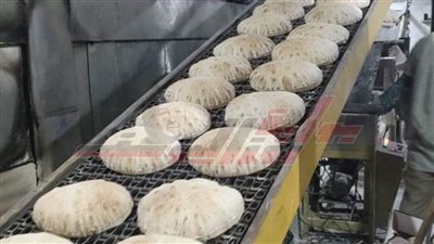 تحرير 10 محاضر لمخالفات تموينية بكفر الشيخ 