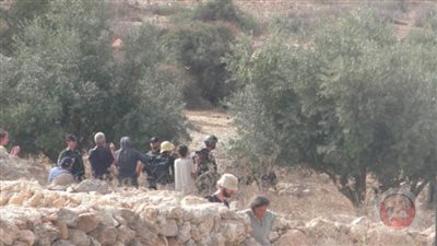 إصابة متضامنة أجنبية بعد الاعتداء عليها بالضرب من قبل مستوطن