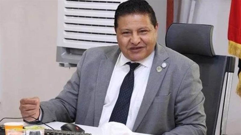 السفير مصطفىالشربيني