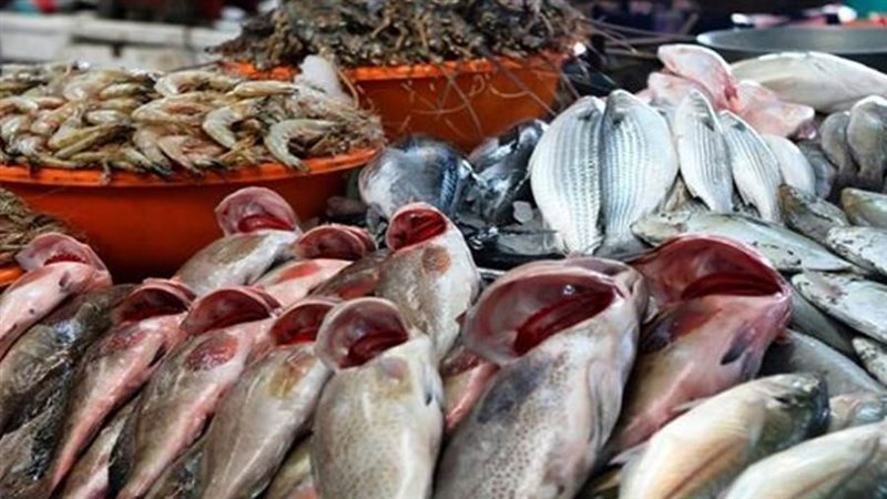 أسعار الأسماك والمأكولات