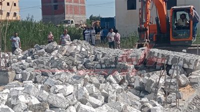 في يومها السابع.. الموجة الـ24 تزيل 10 حالات تعد على الأراضي الزراعية