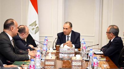 وزير الخارجية يؤكد على ثوابت الموقف المصري من الأزمة في السودان