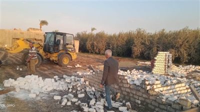 محافظ أسيوط: إزالة 18 حالة تعد على أراض زراعية وأملاك دولة