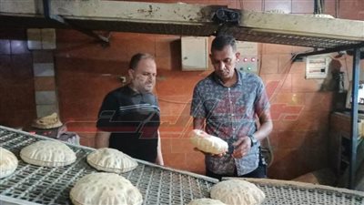 تحرير 16 محضرا لمخالفات تموينية بدسوق في كفر الشيخ 