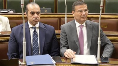 وزير الزراعة: إزالة 17 ألف حالة تعد على الأراضي الزراعية ومصادرة المعدات والأدوات المستخدمة